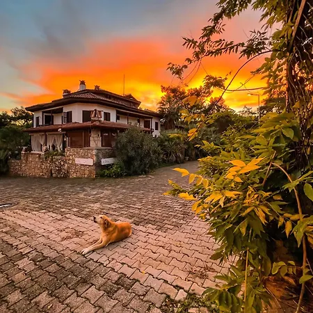 Liya Boutique & Lejlighed *