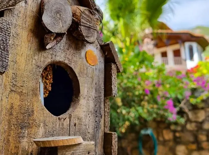 Liya Boutique & Akyaka (Mugla)