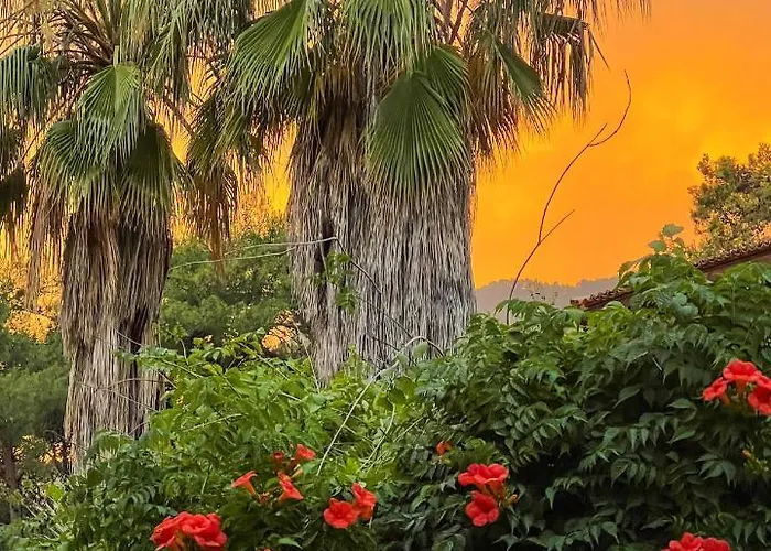 Liya Boutique & Lejlighed Akyaka (Mugla)