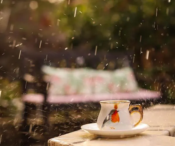 Lejlighed Liya Boutique & *