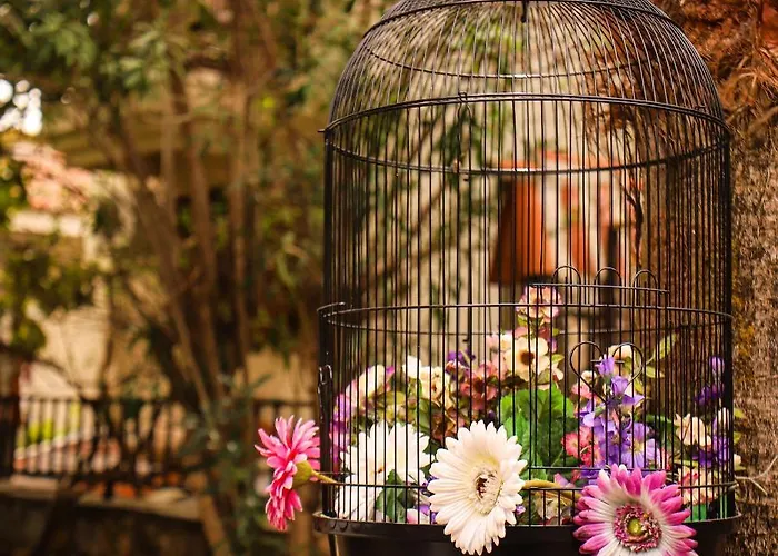 Liya Boutique & Apartment