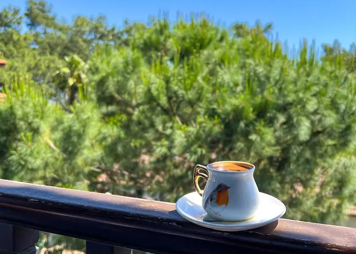 Liya Boutique & Apartment