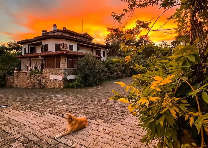 Liya Boutique & Apartment *